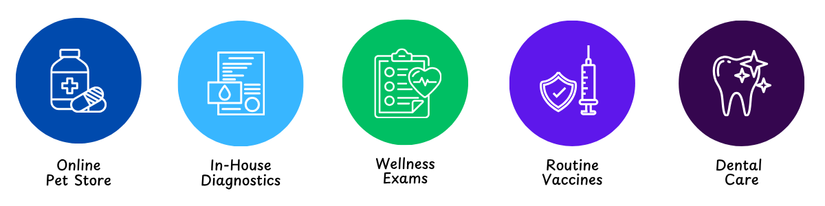 pet care St. Augustine